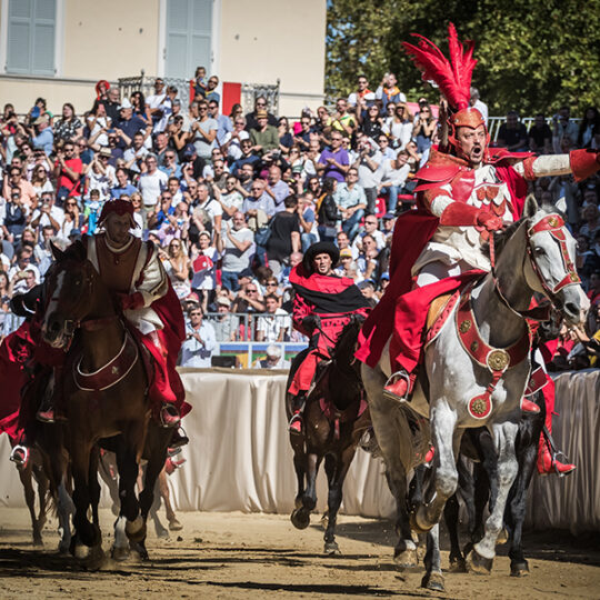 Palio di Asti - il drappo del vincitore - Visit Asti | Feeling Good