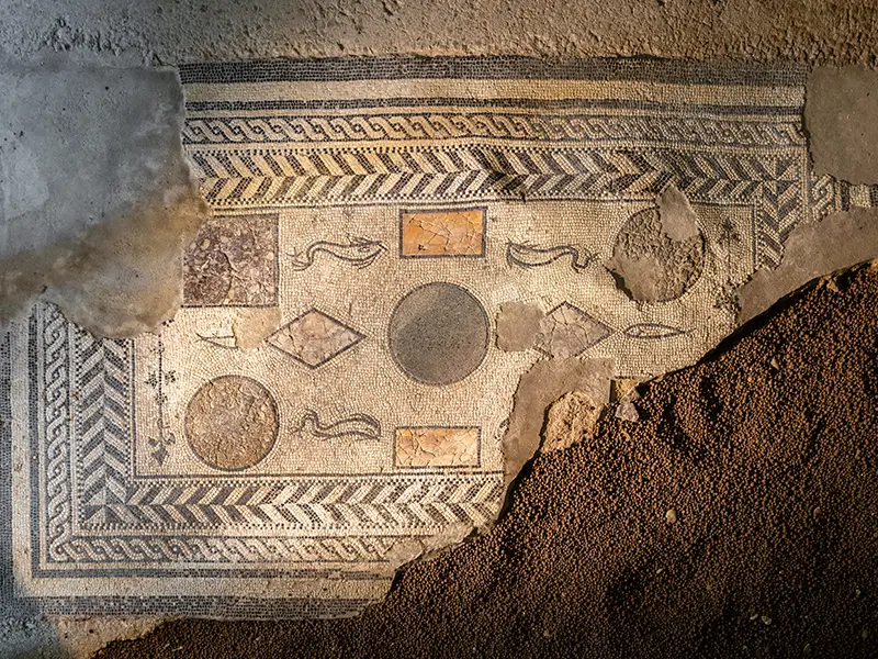 Mosaïque au sol qui décorait la salle à manger de la domus patricienne en cocciopesto blanc.
