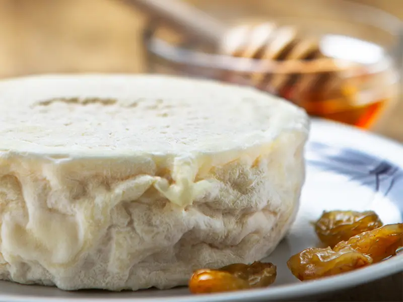 Robiola di Roccaverano DOP,  formaggio a pasta morbisa e cremosa
