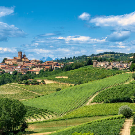 panorama langhe e monferrato